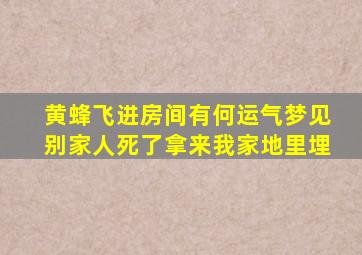 黄蜂飞进房间有何运气梦见别家人死了拿来我家地里埋