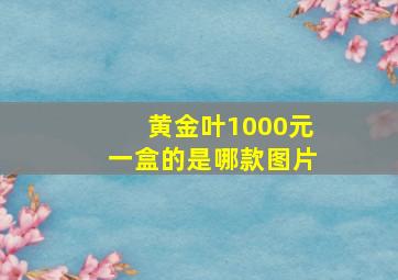 黄金叶1000元一盒的是哪款图片