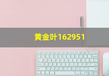 黄金叶162951