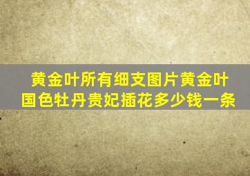 黄金叶所有细支图片黄金叶国色牡丹贵妃插花多少钱一条