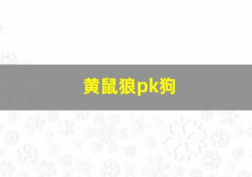 黄鼠狼pk狗