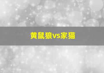 黄鼠狼vs家猫