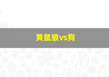 黄鼠狼vs狗