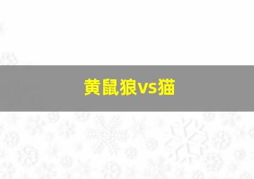 黄鼠狼vs猫