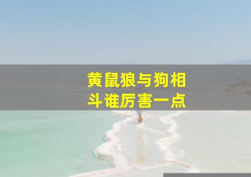 黄鼠狼与狗相斗谁厉害一点