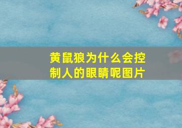 黄鼠狼为什么会控制人的眼睛呢图片