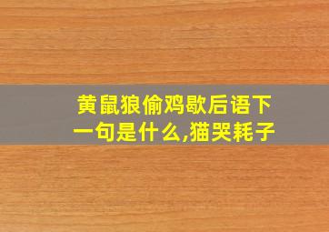 黄鼠狼偷鸡歇后语下一句是什么,猫哭耗子