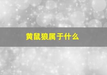 黄鼠狼属于什么