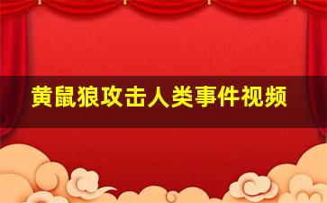 黄鼠狼攻击人类事件视频