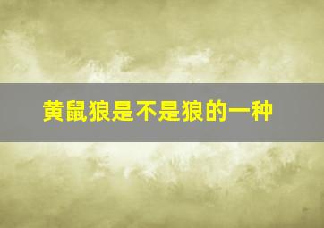 黄鼠狼是不是狼的一种