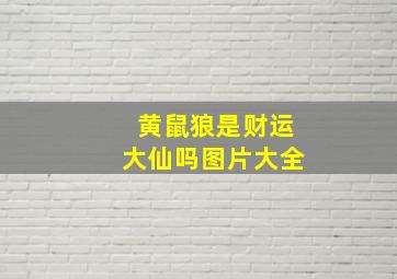 黄鼠狼是财运大仙吗图片大全