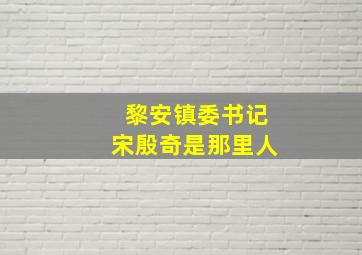 黎安镇委书记宋殷奇是那里人