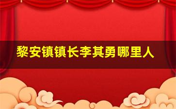 黎安镇镇长李其勇哪里人