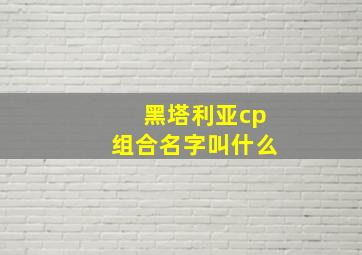 黑塔利亚cp组合名字叫什么