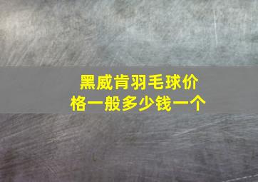 黑威肯羽毛球价格一般多少钱一个