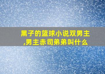 黑子的篮球小说双男主,男主赤司弟弟叫什么