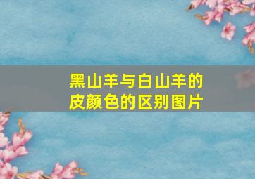 黑山羊与白山羊的皮颜色的区别图片