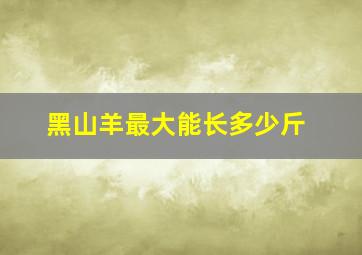 黑山羊最大能长多少斤