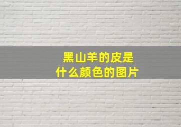 黑山羊的皮是什么颜色的图片