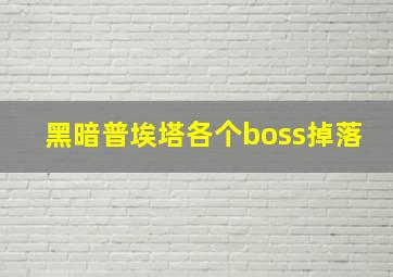 黑暗普埃塔各个boss掉落