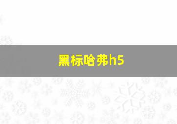 黑标哈弗h5