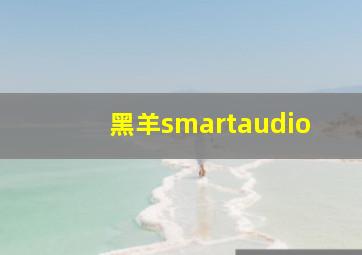 黑羊smartaudio