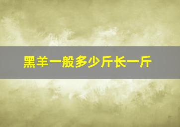 黑羊一般多少斤长一斤