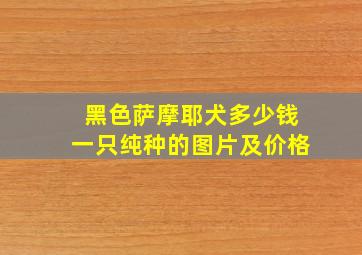 黑色萨摩耶犬多少钱一只纯种的图片及价格