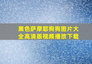 黑色萨摩耶狗狗图片大全高清版视频播放下载