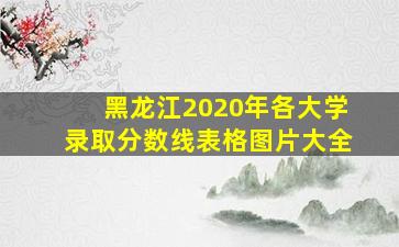 黑龙江2020年各大学录取分数线表格图片大全