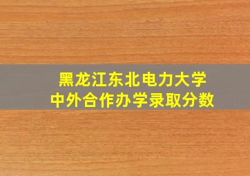 黑龙江东北电力大学中外合作办学录取分数