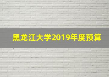 黑龙江大学2019年度预算