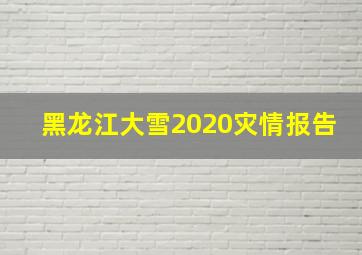 黑龙江大雪2020灾情报告