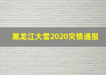 黑龙江大雪2020灾情通报