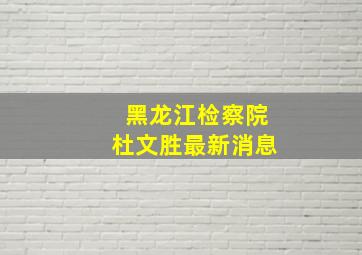 黑龙江检察院杜文胜最新消息