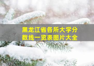 黑龙江省各所大学分数线一览表图片大全