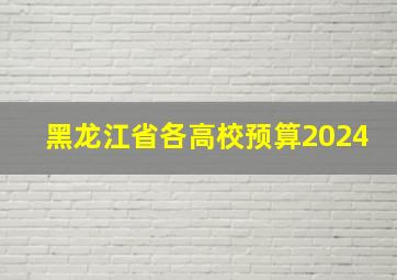 黑龙江省各高校预算2024