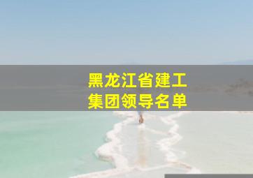 黑龙江省建工集团领导名单