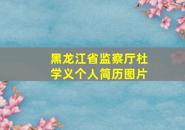 黑龙江省监察厅杜学义个人简历图片