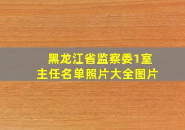 黑龙江省监察委1室主任名单照片大全图片