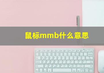 鼠标mmb什么意思