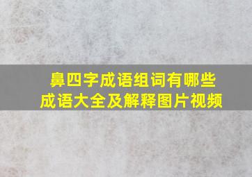 鼻四字成语组词有哪些成语大全及解释图片视频