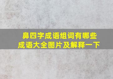 鼻四字成语组词有哪些成语大全图片及解释一下