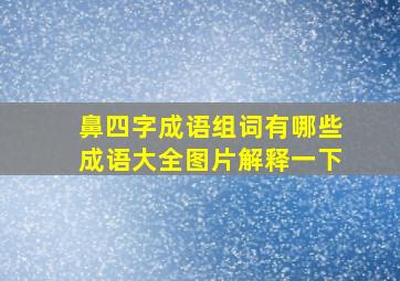 鼻四字成语组词有哪些成语大全图片解释一下