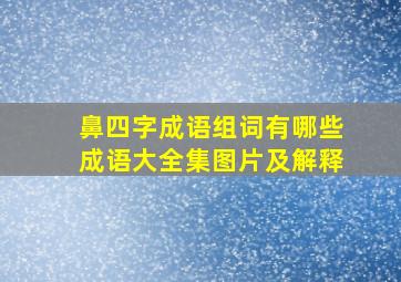 鼻四字成语组词有哪些成语大全集图片及解释