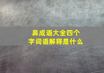 鼻成语大全四个字词语解释是什么