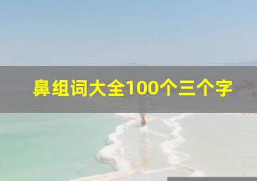 鼻组词大全100个三个字