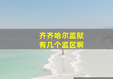 齐齐哈尔监狱有几个监区啊