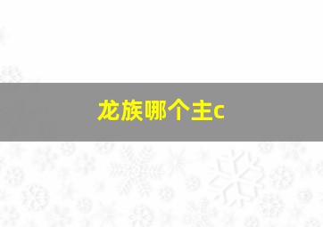 龙族哪个主c