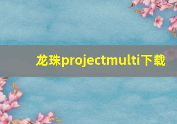 龙珠projectmulti下载